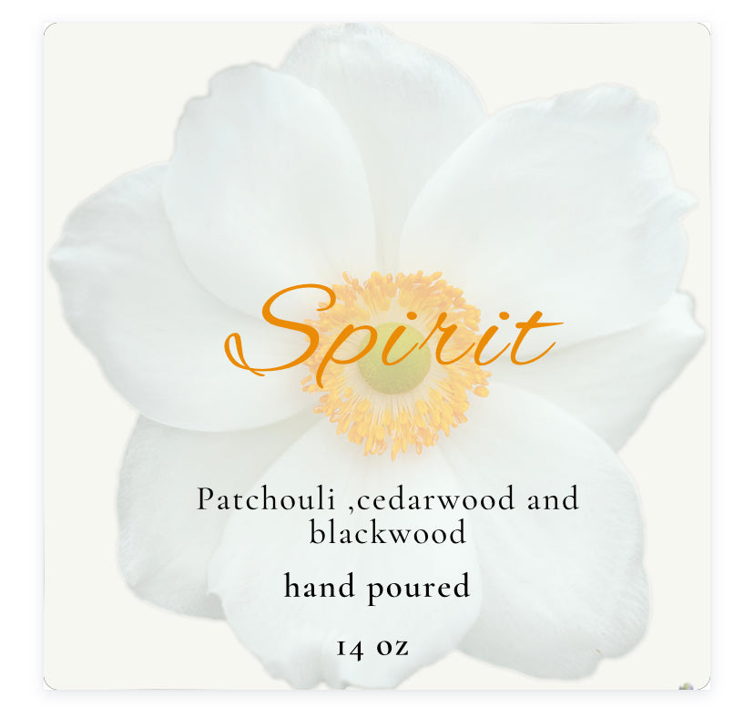 Spirit 14 oz Soy Candle in Frosted Glass Jar with Bamboo Lid